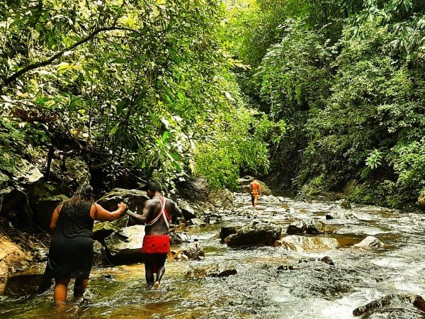 chagres rainforest